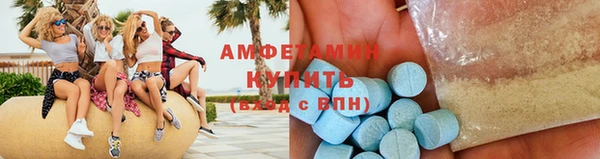 крисы Мегион