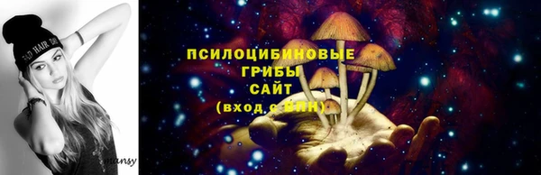 скорость Медвежьегорск