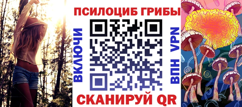 Галлюциногенные грибы Cubensis  Цоци-Юрт 